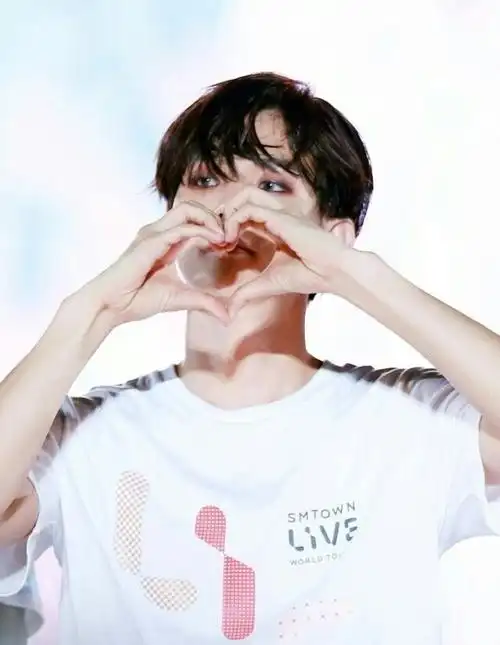 边伯贤花式比心-白甜头像铺子(边伯贤专库)-话本小说网