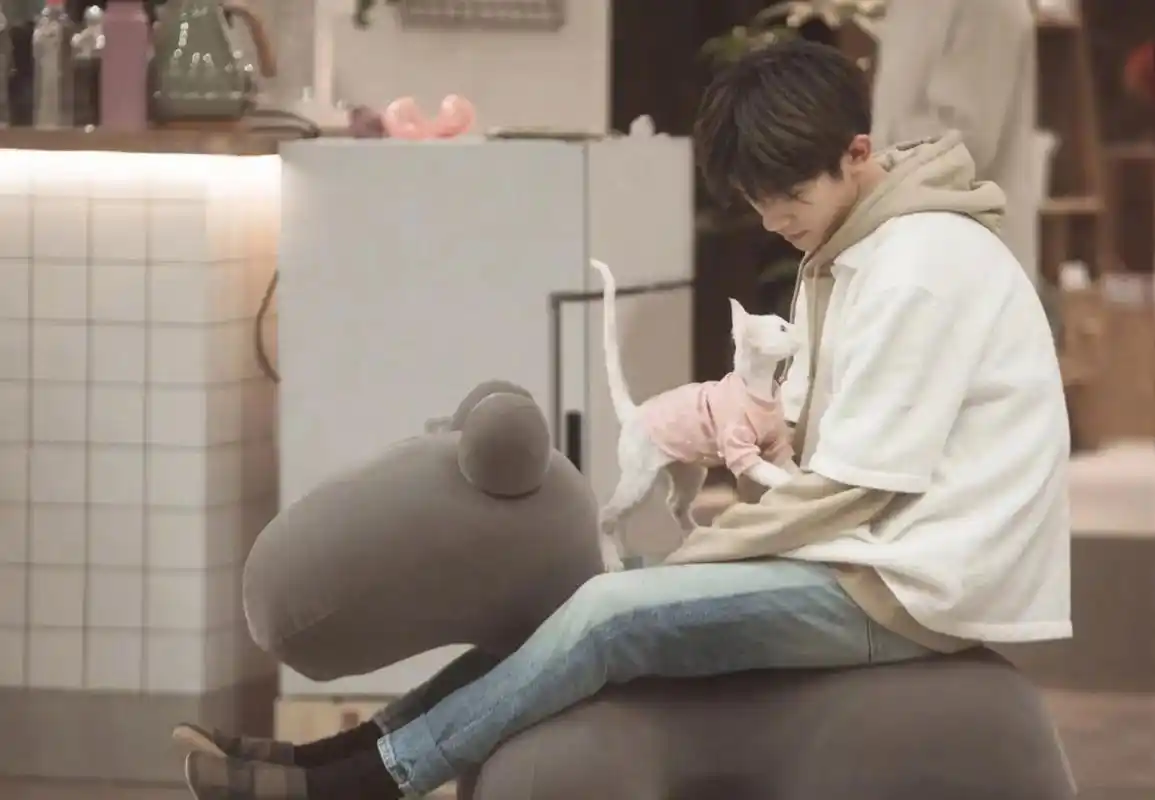 少年和猫 #易烊千玺 #一心一意易烊千玺  - 抖音