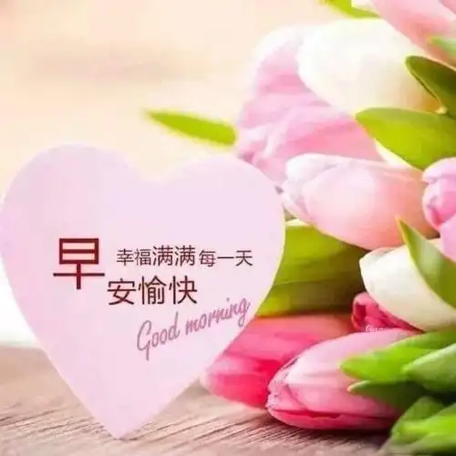 原创冬天最美丽早安问候语图片带字温馨2021暖心早上好图片表情祝福