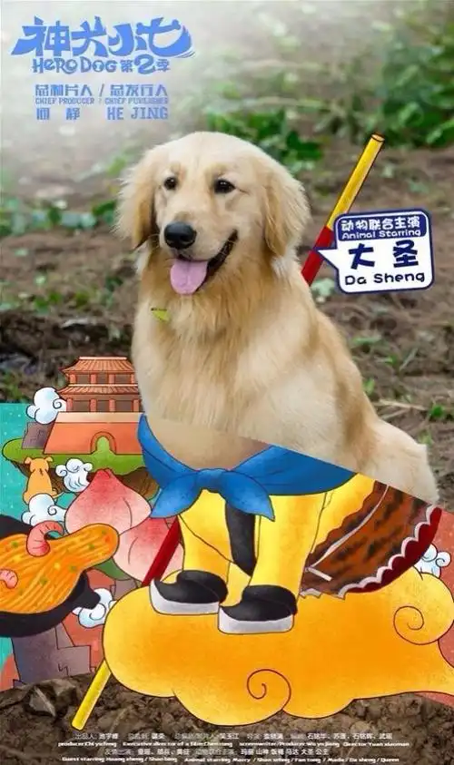 神犬小七第二季 收官啦!