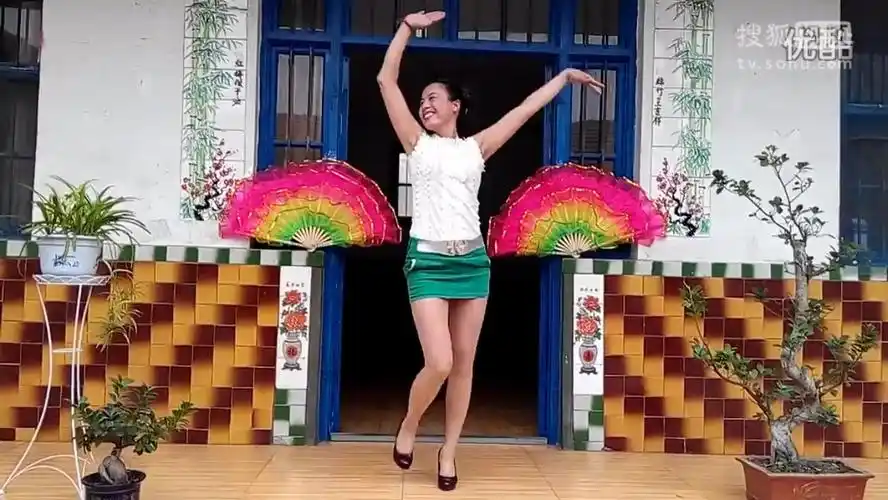 山东省寿光市台头镇郑埝村丽敏广场舞(爱上你我傻乎乎)_超清