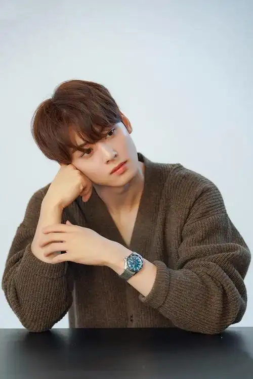 astro组合"门面担当"的车银优