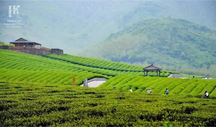 《你是我的荣耀》众多大热影视剧争相取景的基地阳羡生态旅游度假区