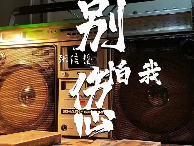 别怕我伤心张信哲