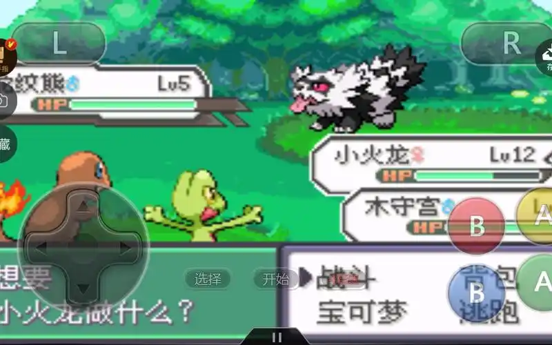 《口袋妖怪究极绿宝石4a》-你见过这样子的蛇纹熊吗