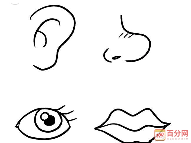人脸简笔画 五官