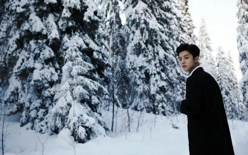 鹿晗雪中美照西装笔挺优雅似贵族王子这长相比女人还精致