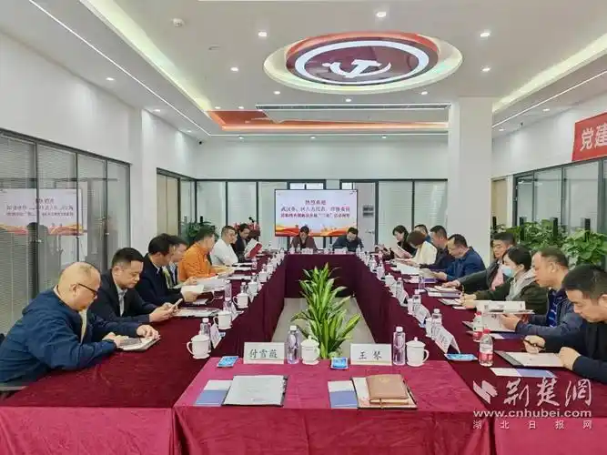 武汉市关山辖区市区人大代表助力园区企业创新发展