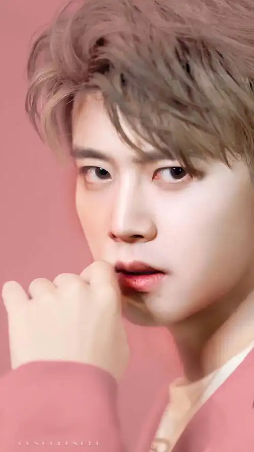 任嘉伦粉色系壁纸