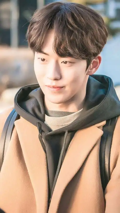 祁安辞爱豆南柱赫壁纸