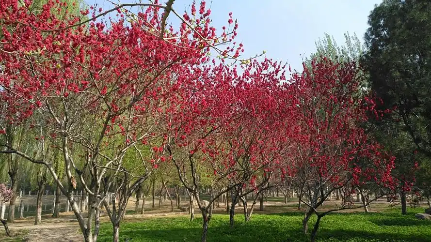 和你一起看春天最美的风景!