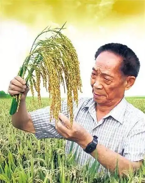 袁隆平终身免检驾驶证长啥样?