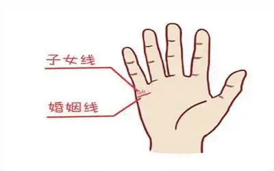 从手相的子女线看有几个子女