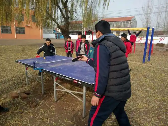 敢于拼搏,乒动我心-尚村小学生参加庆2018元旦 "和谐杯"乒乓球 比赛