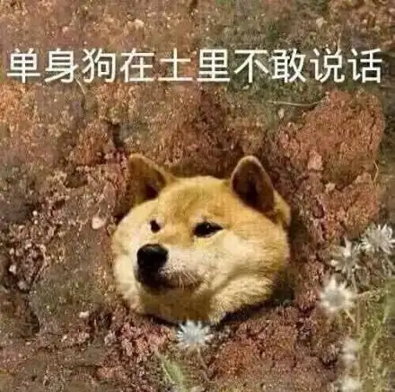 懂了 绿了呗(猫咪绿帽子)表情包 - 表情图