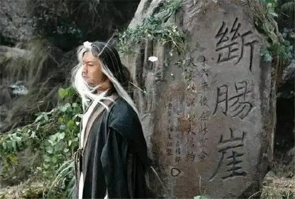 小龙女在断肠崖下待了16年杨过后来见到的可能不是她