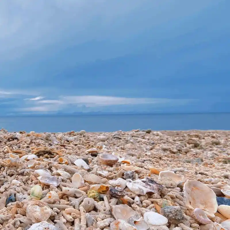 北海 涠洲岛 贝壳沙滩 关于内陆女孩去海边看到贝壳90走不动路这件