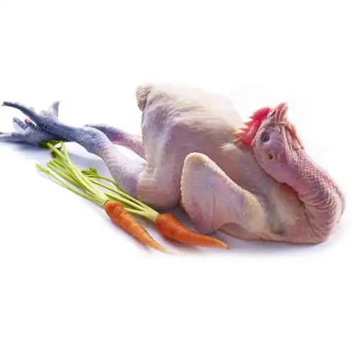 农家散养黑脚鸡