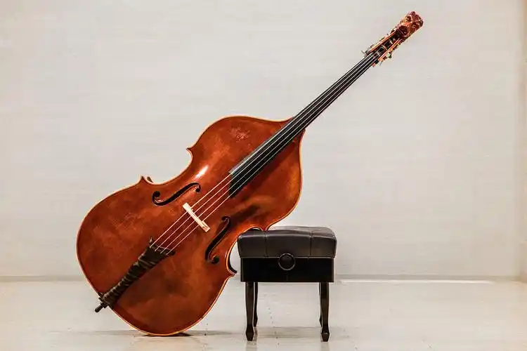 小提琴有多少根弦(小提琴拉弦板)_大全-幸福起航