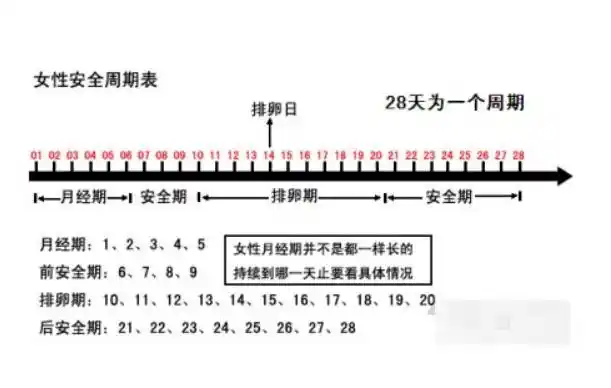 "排卵期"到来时,女人会出现这2种感觉,备孕夫妻可别错过_月经周期