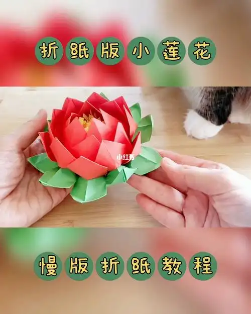 小莲花慢版教程来啦787878