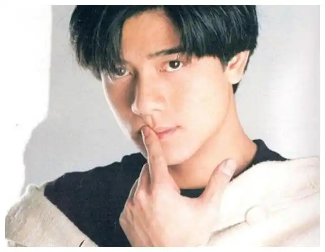 为什么港星给人的感觉往往很男人?