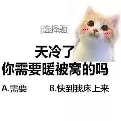 天冷了,你需要暖被窝的吗?表情