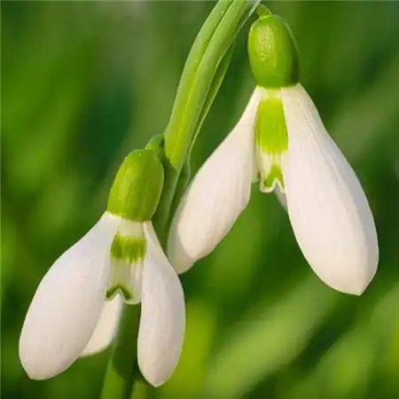 给人一种阳光的头像高清唯美阳光干净的微信头像图片