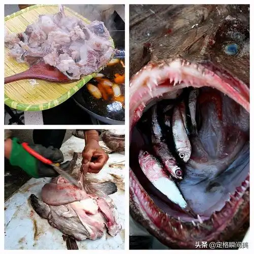 钢鱼是什么鱼(什么鱼叫不锈钢鱼) - 腕表维修_腕表保养_腕表资讯