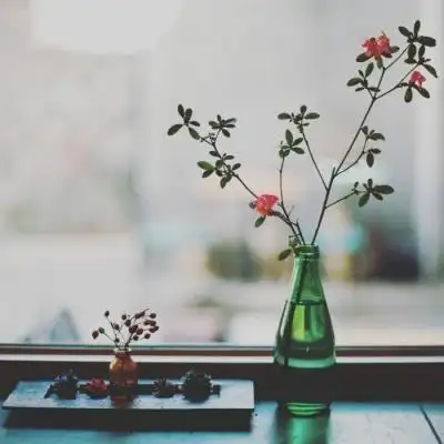 2020鲜花风景头像大全唯美微信最吉利好看的头像漂亮花朵