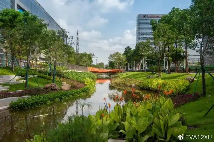 草坡绿岸,挺水植物与叠石驳岸的景观效果