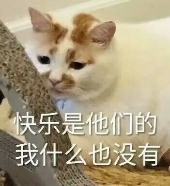 决乐是他们的我什么也没有_决乐_什么_他们表情