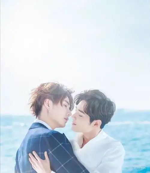 肖战你们犯规了啊