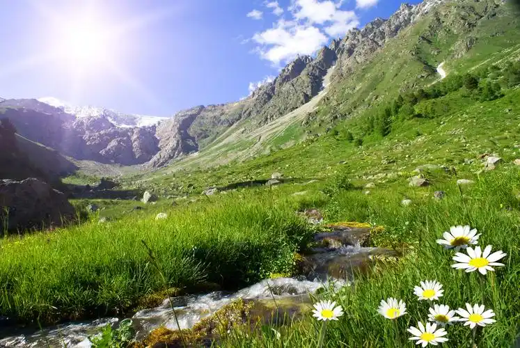 山水国风古风卡通手绘插画山川河流凤凰荷花荷叶蓝天白云船云画板上的