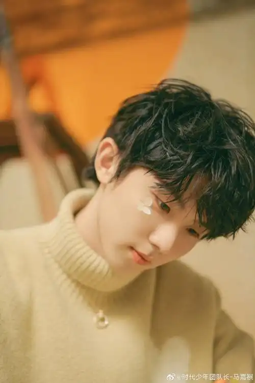 马嘉祺 廿一幕启循光赴盛景##马嘉祺1212生日快乐##粉丝认证号