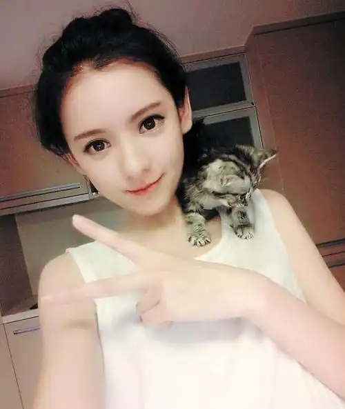 王思聪沈亚婷分手因赵子易 曝赵子易独宠后宫秘诀