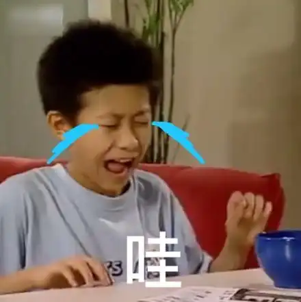 刘星:哇哇大哭 - 一波最近很火的家有儿女表情包 _家有儿女_刘星_影视