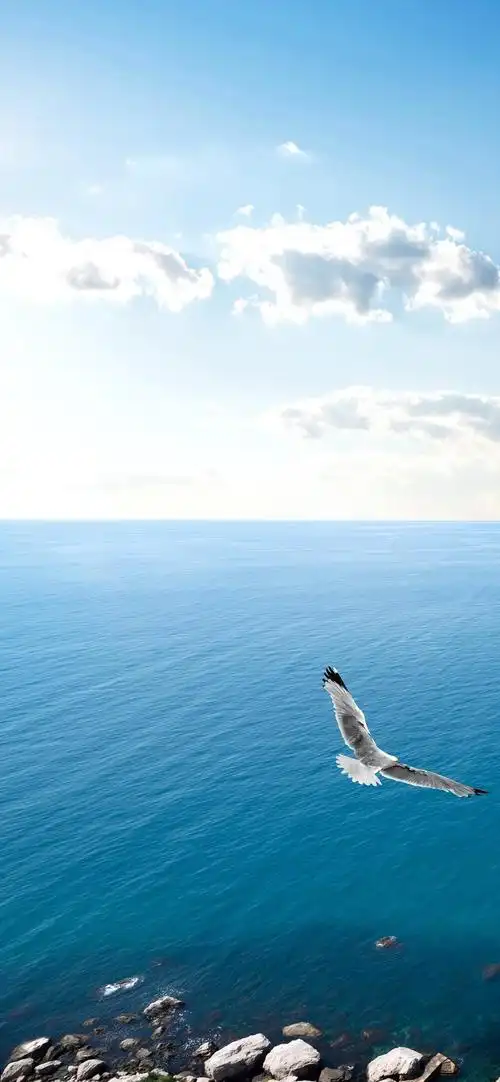 2021年最流行的壁纸图片风景2