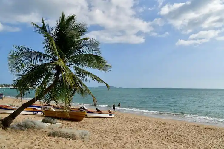 中国·三亚湾椰树风光