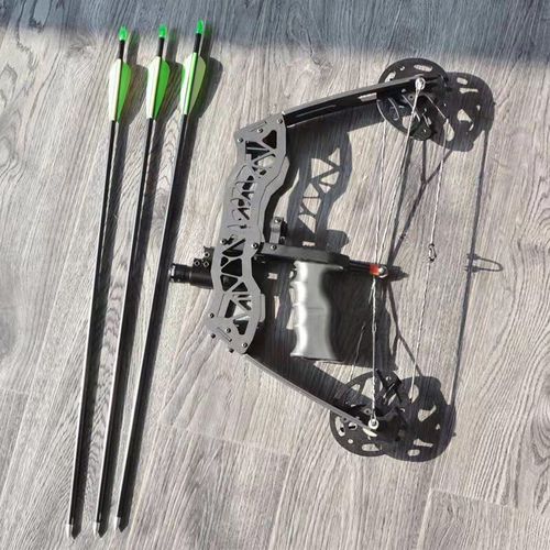 驽弓箭成人用射鱼箭成人弓小型弓滑轮弓射鱼神器反曲弓射箭工具 裸弓