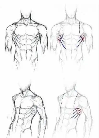 一大波男生的腹肌绘画参考!