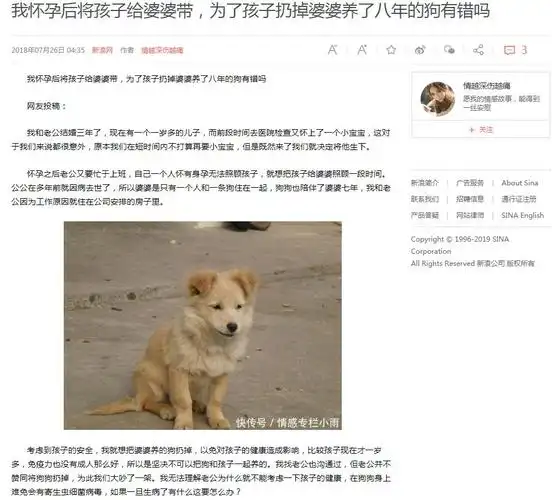 婆婆媳妇丈夫养狗七八年