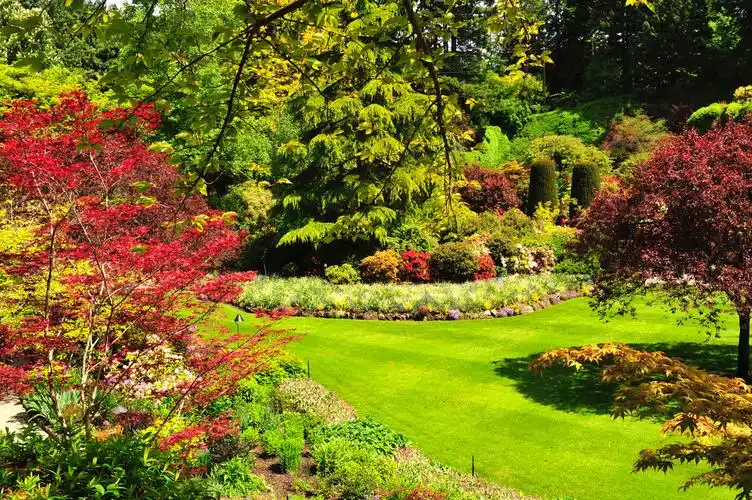 世界上最美的花园加拿大布查特花园世界上有很多美好的事情最初往往是