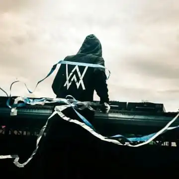 alan艾伦walker头像