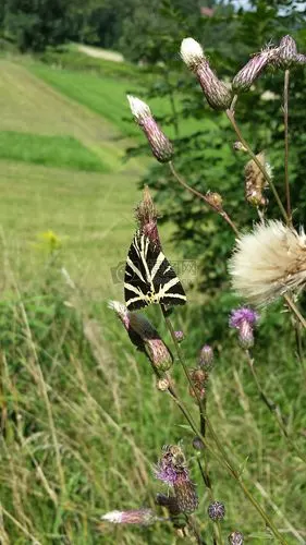 674_1200竖版 竖屏