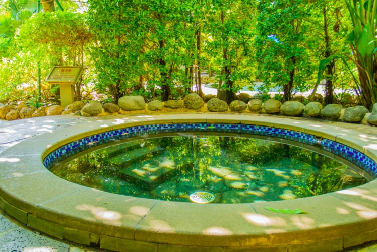 樟树湾大酒店温泉门票成人票