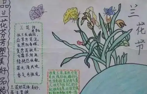 兰花手抄报图片大全