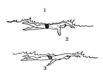 游泳入门之自由泳教程