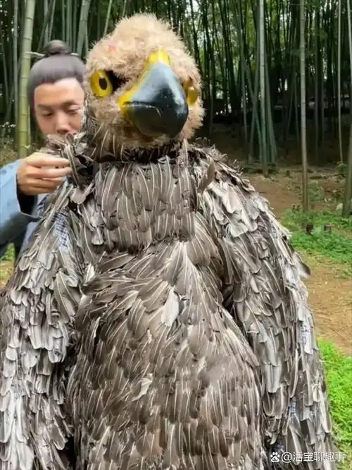 杨过的这只雕也不好演,大热天也得穿上这个,有时一个镜头拍几个小时.