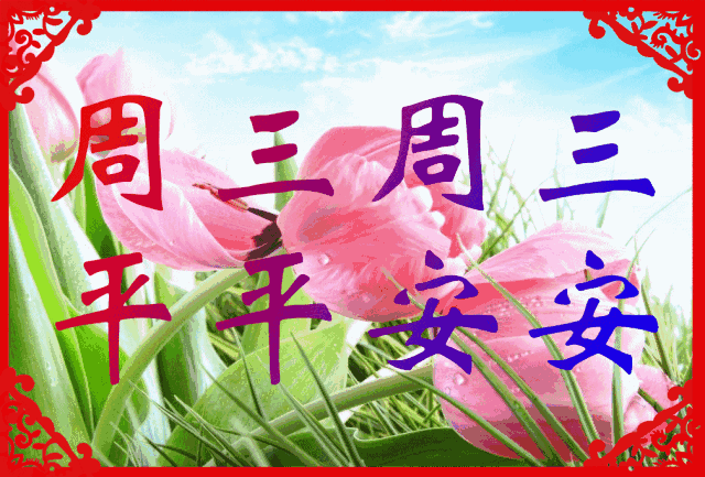 640_433gif 动态图 动图